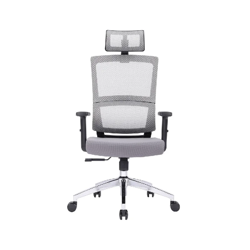 Grey Ergoal Chair Plus